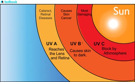 Uv Light Definition Types Wavelength Frequency Sources Uses