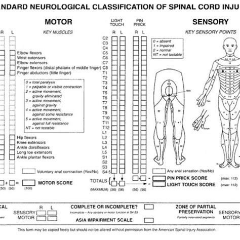 Clasificación Neurológica De La Lesión Medular Asia Spinal Cord Injury