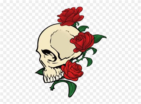 Skull Amp Roses Vector Ai Free Graphics Download Cross - Skull And