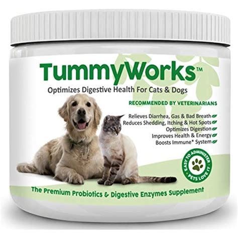 Probiotics For Dogs And Cats Best Powder To Relieve Diarrhea Yeast