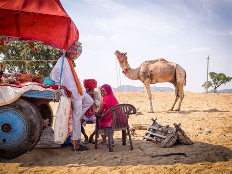 picture of people relaxing outside in pushkar india owl images world photo facebook photos