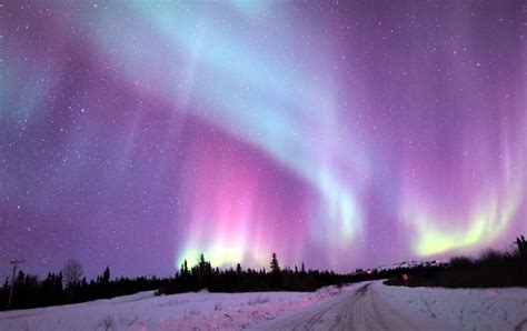 Alaska Northern Lights Purple Aesthetic Aurora Borealis Northern Lights