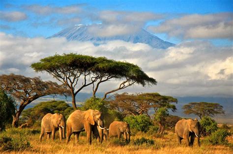 Tanzania - in Africa - Thousand Wonders