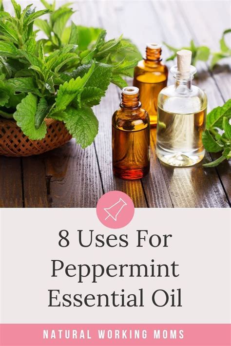 8 Valuable Uses For Peppermint Oil That Are Amazing Peppermint