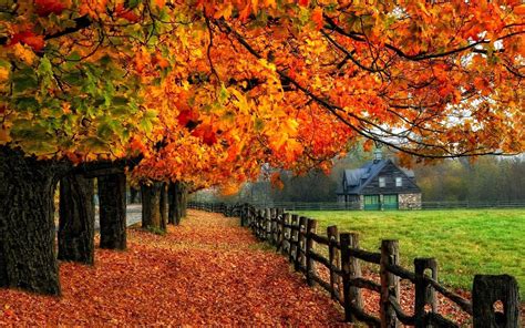 Autumn Fall Tree House Fenc Autumn Wallpaper Examples High Resolution