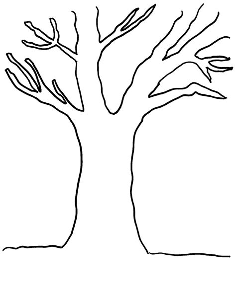 Kolorowanka Kontury Drzewa Do Druku I Online