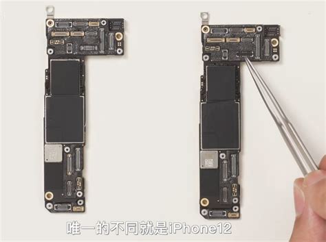 Teardown Reveals The Iphone 12 And 12 Pro Are Almost Identical On The