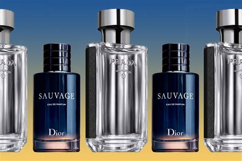 10 Classic Colognes That Will Never Let You Down Best Perfume For Men