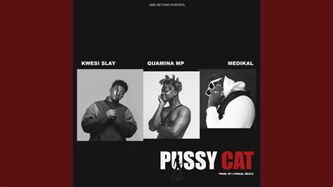 Pussy Cat Youtube Music