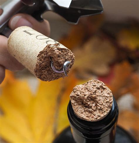 How To Get Broken Cork Out Of Wine Bottle Best Pictures And