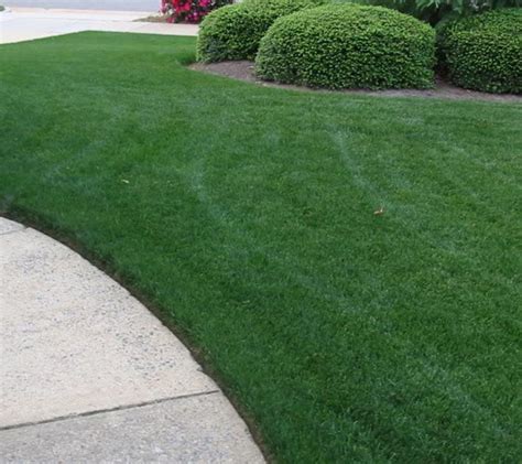 Pin By Sandy Linck On Gardening Bermuda Grass Mowing Lawn Care