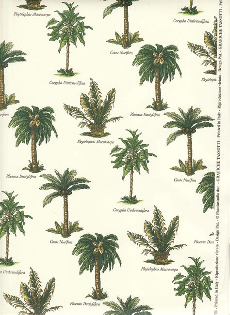 Palm Tree Varieties Palm Tree Wrapping Paper With A