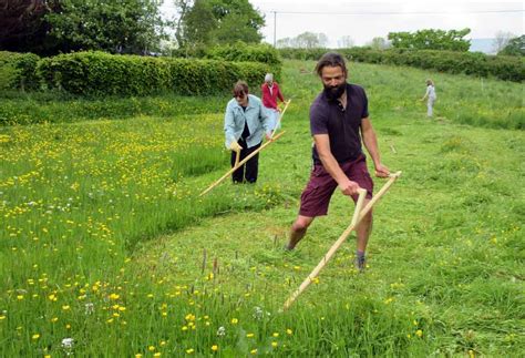 Introduction To Scything Course Ydmt
