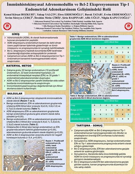 Bulundurduğu prof, doç dr sayısı ile geri kalmış tıp fakültelerinden sadece biri. Tıp Fakültesi Akademisyenlerine Poster Ödülü - Süleyman ...