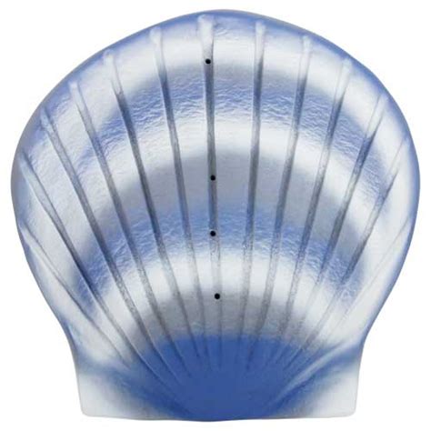Mourn by nienke hoogvliet is a biodegradable urn made from a sustainable bioplastic called pha (poly hydroxy alkanoate). The Shell Biodegradable Urn in Aqua | Water Burial Urns ...