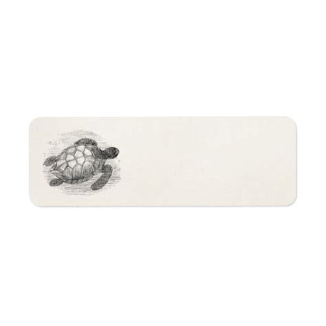 Vintage Sea Turtle Personalized Marine Turtles Label Zazzle Com