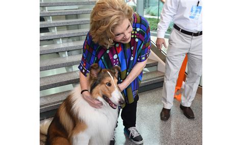 Lassie Is Taking Her Clothes Off In Dressing Room Telegraph