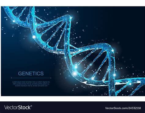 Dna Abstract 3d Polygonal Wireframe Molecule Vector Image