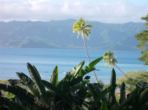 Should You Delete Old Blog Posts Thailand Pictures Savusavu Fiji