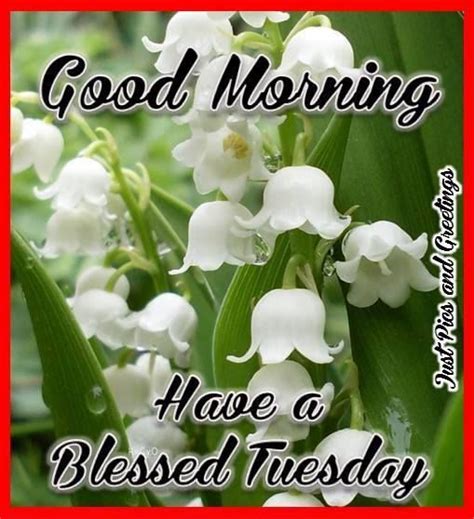 Tuesday Blessings Good Morning Pictures Photos And