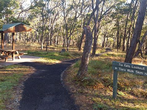 Tia Falls Campground Nsw Holidays And Accommodation Things To Do