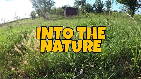 Into The Nature Youtube