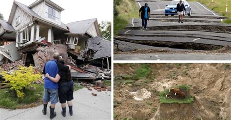 Últimos terremotos en nueva zelanda. Las Impresionantes Imágenes Que Dejó El Brutal Terremoto En Nueva Zelanda | Tronya