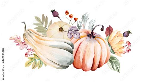 Watercolor Fall Pumpkin Harvest Clipart Thanksgiving Pumpkin