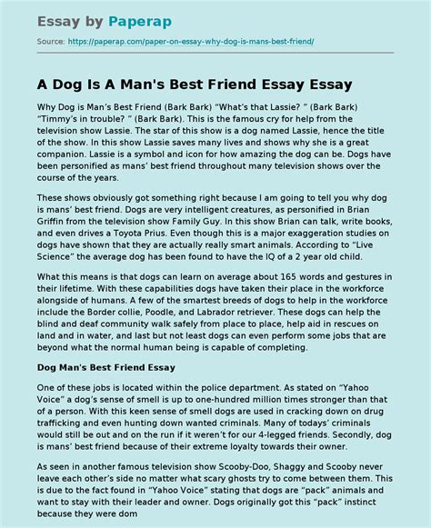 A Dog Is A Mans Best Friend Essay Free Essay Example