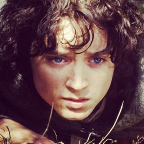 Frodo Baggins Grass Elijahwood Black Hair Curly Hobbit Lotr