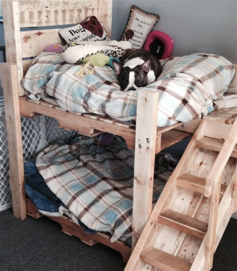 Bunk Beds Dog Bedroom Custom Dog Beds Dog Bed