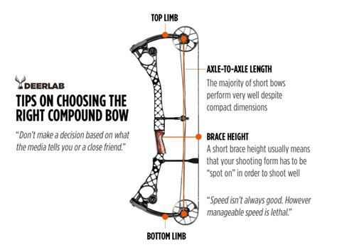 13 Best Compound Bows To Choose From In 2022 Scouting Outdoors