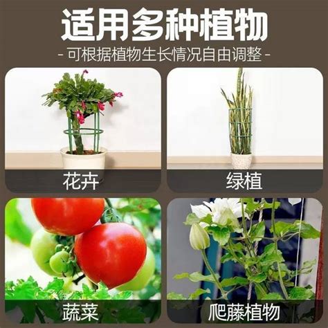 Flower Stand Indoor Household Flower Stand Support Rod Climbing Vine Flower Stand Crab Claw