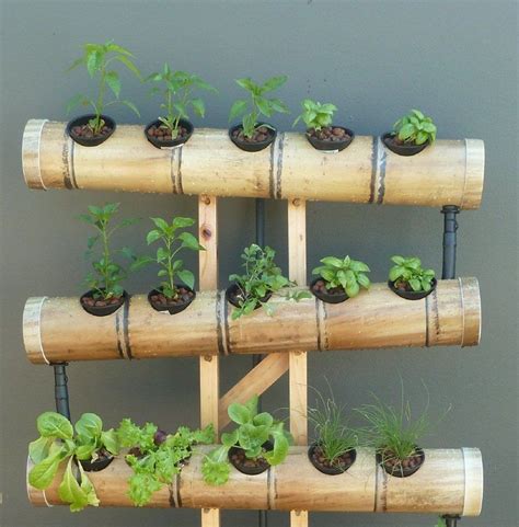 June 11th, 2020 | 0 comments. Beauty of bamboo planters | New Straits Times | Malaysia ...