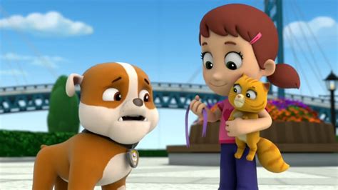 Pups And The Kitty Tastrophequotes Paw Patrol Wiki Fandom