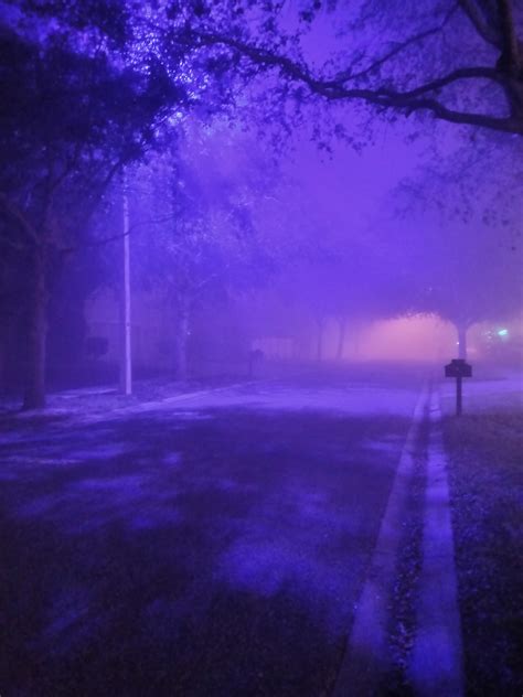 Tamp Fl Purple Street Lights In The Fog Design Flaw That Leads You To