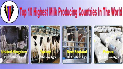 Top 10 Highest Milk Producing Countries In The World In 2020 Data