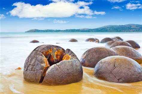 They occur scattered either as isolated or clusters of boulders within a stretch of beach where they have been. Moeraki Boulders and Blue Penguins, Dunedin