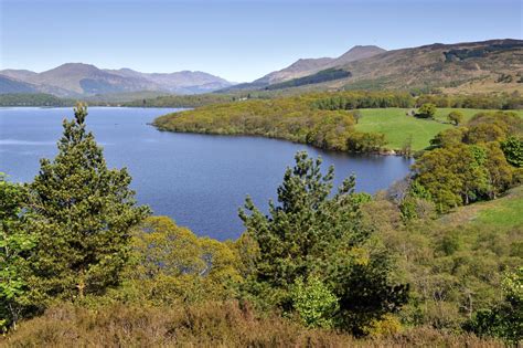 Loch Lomond NNR - About the reserve | NatureScot