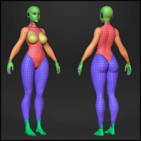 Base Mesh Standard Female Flippednormals Anatomy Models 3d Model Character Girl Anatomy
