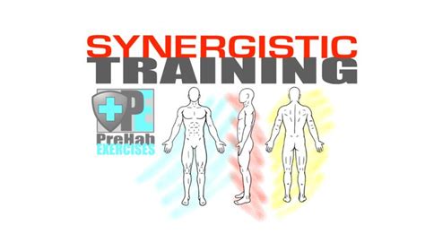 Synergistic Training Improve Mobility Stability And Strength