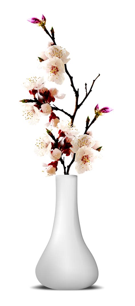Flowers Vase Png