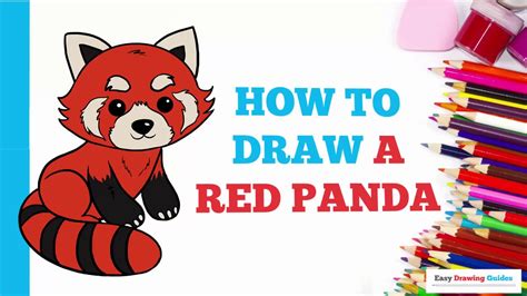 How To Draw A Red Panda In A Few Easy Steps Drawing Tutorial For