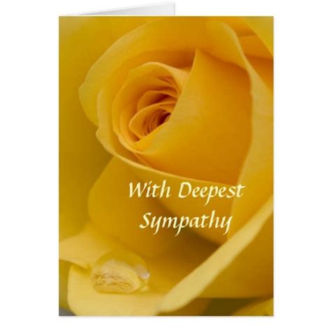 Card With Deepest Sympathy Yellow Rose With Rain Zazzle