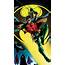 2160x3840 Robin DC Comics Sony Xperia XXZZ5 Premium Wallpaper HD 