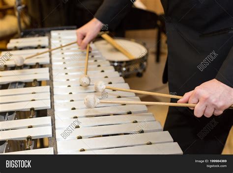 Xylophone Orchestra Image And Photo Free Trial Bigstock