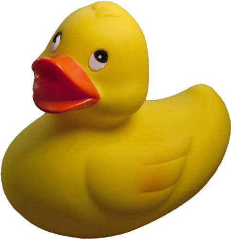 Rubber Duck Png Transparent Image Download Size 771x800px