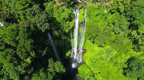 Tropical Sekumpul Waterfalls In Bali Island Indonesia Exotic