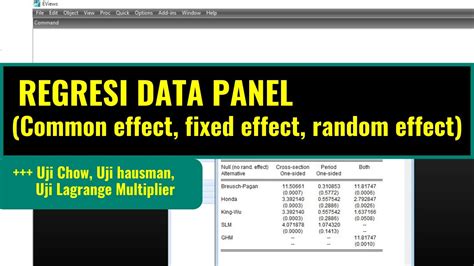 Regresi Data Panel Common Effect Fixed Effect Random Effect YouTube