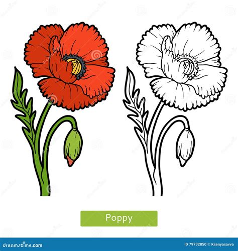 Top 123 Imagenes De Amapolas Para Colorear Destinomexicomx